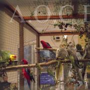 1er Salon d'automne (107)