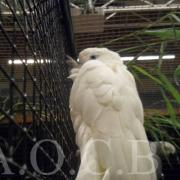 1er Salon d'automne 4 et 5 octobre 2014 (10)