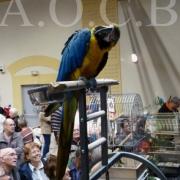 1er Salon d'automne 4 et 5 octobre 2014 (16)