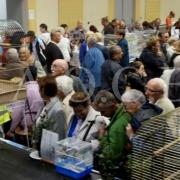 1er Salon d'automne 4 et 5 octobre 2014 (17)