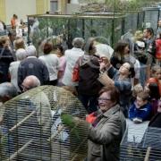 1er Salon d'automne 4 et 5 octobre 2014 (18)