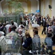 1er Salon d'automne 4 et 5 octobre 2014 (20)