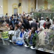 1er Salon d'automne 4 et 5 octobre 2014 (21)