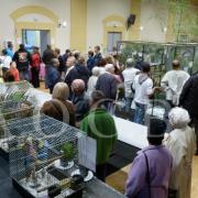 1er Salon d'automne 4 et 5 octobre 2014 (24)