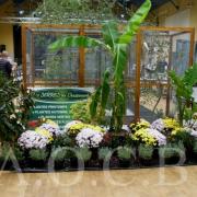 1er Salon d'automne 4 et 5 octobre 2014 (27)