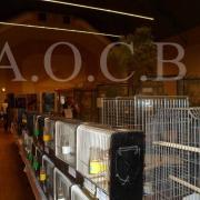 1er Salon d'automne 4 et 5 octobre 2014 (3)