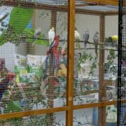 1er Salon d'automne 4 et 5 octobre 2014 (36)