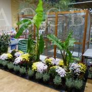 1er Salon d'automne 4 et 5 octobre 2014 (41)