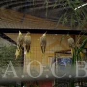 1er Salon d'automne 4 et 5 octobre 2014 (6)