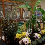 1er Salon d'automne 4 et 5 octobre 2014 (7)