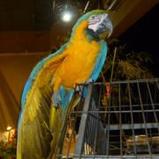 2ème Salon d'automne des 4 et 5 - 10 - 2015