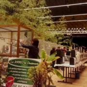 2ème Salon d'automne des 4 et 5 - 10 - 2015 