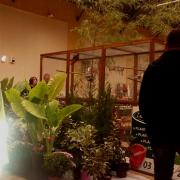 2ème Salon d'automne des 4 et 5 - 10 - 2015 