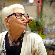 2ème Salon d'automne des 4 et 5 - 10 - 2015