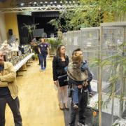 2ème Salon d'automne des 4 et 5 - 10 - 2015 