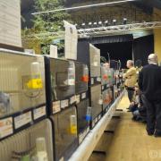 2ème Salon d'automne des 4 et 5 - 10 - 2015 