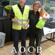 3ème salon d'automne de 01 et 02 octobre 2016 (1)