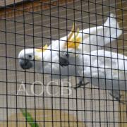 3ème salon d'automne de 01 et 02 octobre 2016 (29)