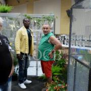 3ème salon d'automne de 01 et 02 octobre 2016 (3)