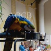 3ème salon d'automne de 01 et 02 octobre 2016 (30)