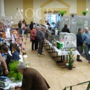 3ème salon d'automne de 01 et 02 octobre 2016 (31)