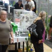 3ème salon d'automne de 01 et 02 octobre 2016 (33)