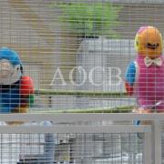 3ème salon d'automne de 01 et 02 octobre 2016 (39)