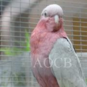 3ème salon d'automne de 01 et 02 octobre 2016 (40)