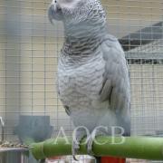 3ème salon d'automne de 01 et 02 octobre 2016 (41)