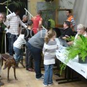 3ème salon d'automne de 01 et 02 octobre 2016 (42)