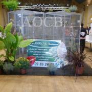 3ème salon d'automne de 01 et 02 octobre 2016 (43)