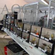 Bourse de Neuzy le 13 mars 2016  (26)