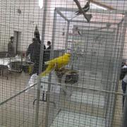 Bourse de Neuzy le 13 mars 2016  (37)