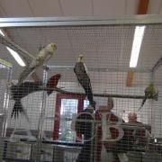 Bourse de Neuzy le 13 mars 2016  (38)