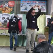 Championnat de France  à Niort 2015 (50)site