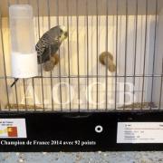 Championnat FFO 2014 (champion avec 92 points)
