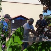 Fabrication volières septembre 2015