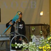 Foire aux oiseaux du 3/4 mai 2014