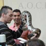 Foire aux oiseaux du 3/4 mai 2014