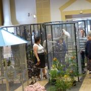 Foire aux oiseaux du 3/4 mai 2014