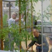 2ème Salon d'automne des 4 et 5 - 10 - 2015