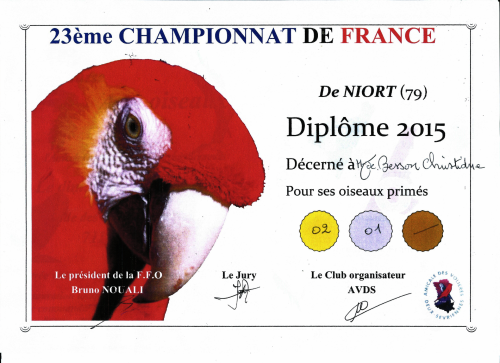 Diplome 2015 besson